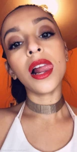 16130730