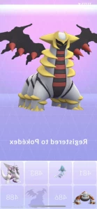 16435063
