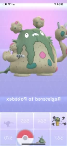 16435079