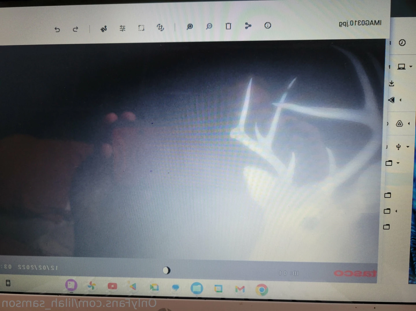 Lilah and Samson 💕 [ lilah_samson ] Onlyfans leaked photo 16469891 on Hotleaks.tv