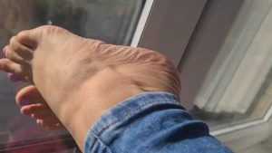 16160572