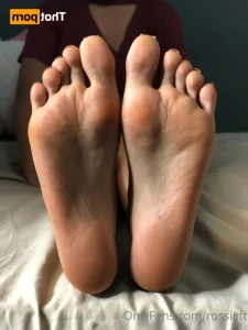 16154046