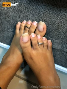 16215248