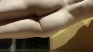 13016447