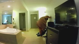 superchub25 Onlyfans leaked video 13296439 on Hotleaks.tv