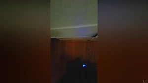 superchub25 Onlyfans leaked video 14825085 on Hotleaks.tv