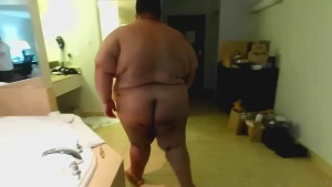 15565993