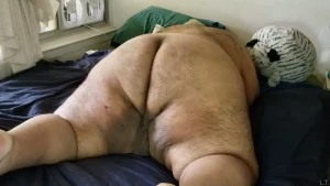 15851833