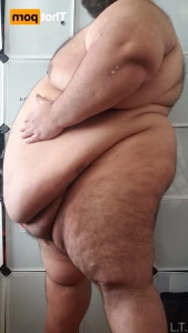 16209242