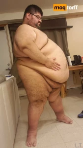 16275742