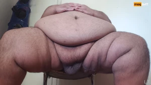 16277031