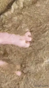 15737776