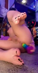 18501698