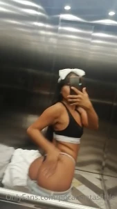 13147202