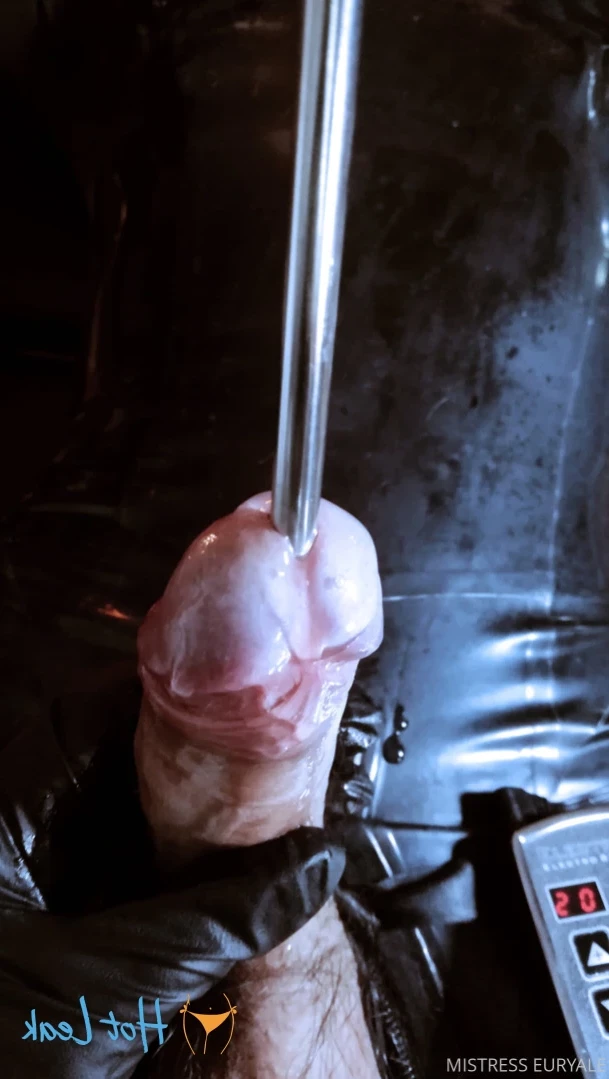 Mistress Elis Euryale [ ms_euryale ] Onlyfans leaked photo 12178350 on Hotleaks.tv