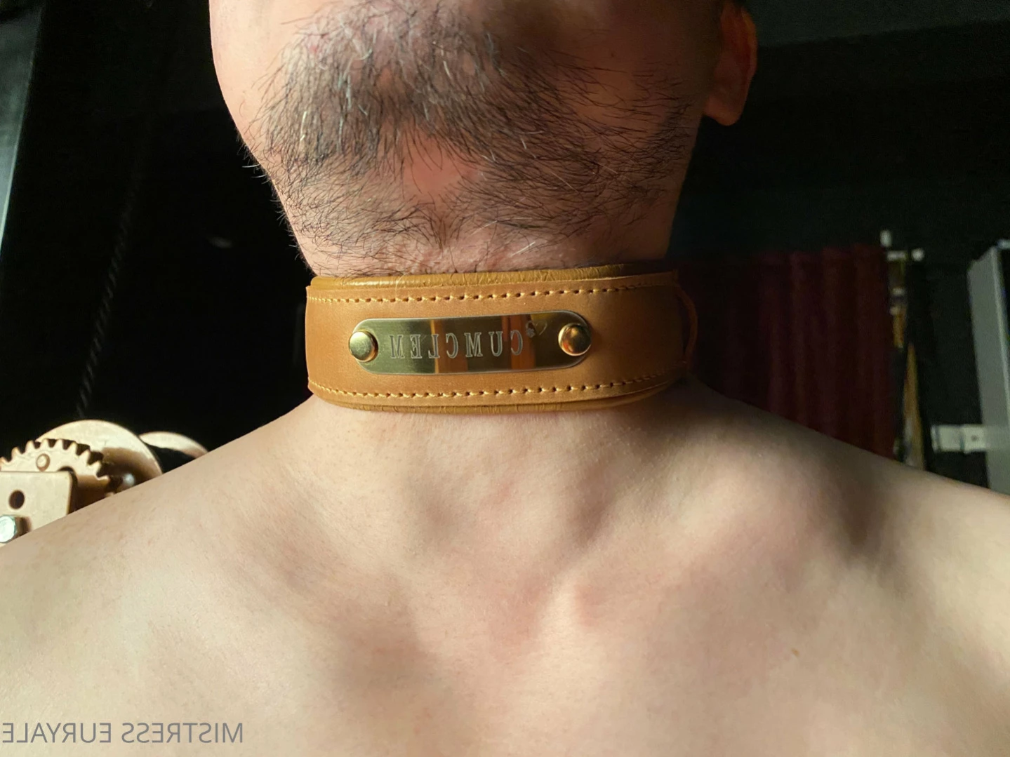 Mistress Elis Euryale [ ms_euryale ] Onlyfans leaked photo 16403854 on Hotleaks.tv