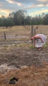Aussie Lily Fox Perth [ aussielilyfox ] Onlyfans leaked video 12512248 on Hotleaks.tv