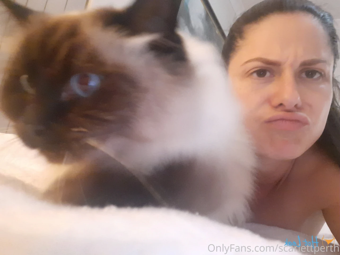 Aussie Lily Fox Perth [ aussielilyfox ] Onlyfans leaked photo 12605548 on Hotleaks.tv