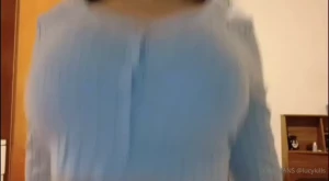 16110261