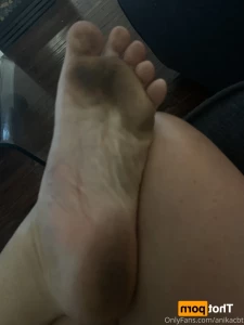16024827