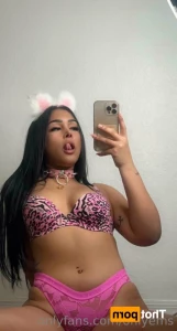 16264038