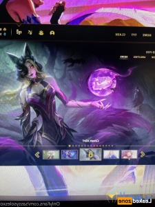 16233460