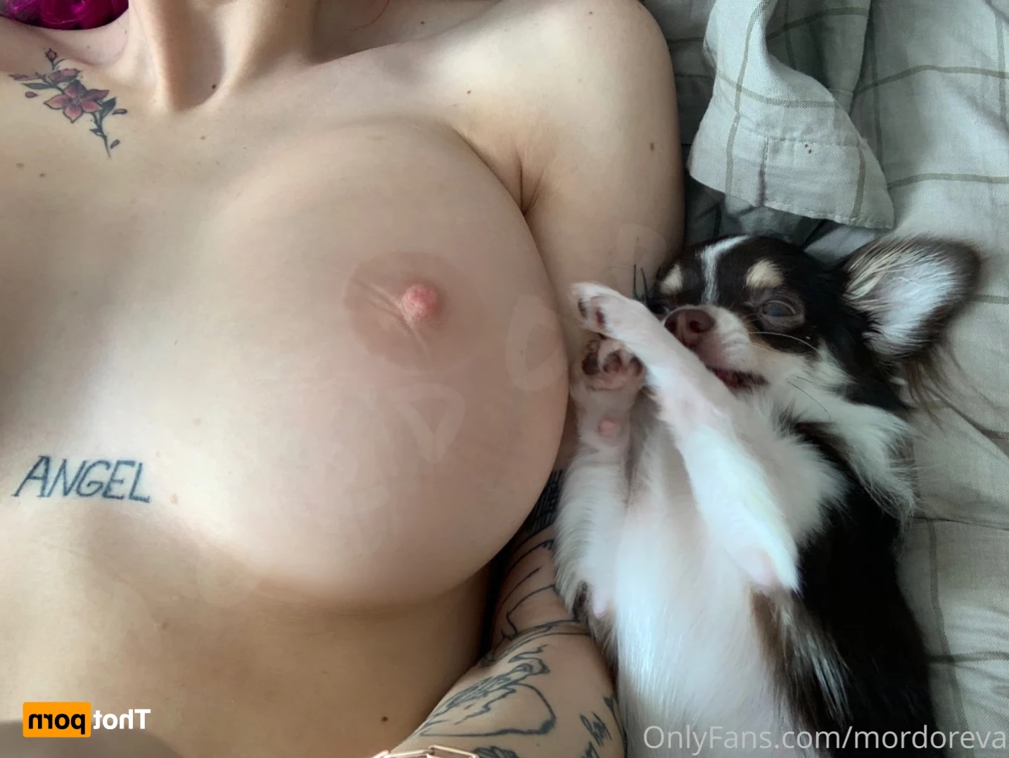 Miss Sydney 🦋 [ diamond_sydney ] Onlyfans leaked photo 15942197 on Hotleaks.tv
