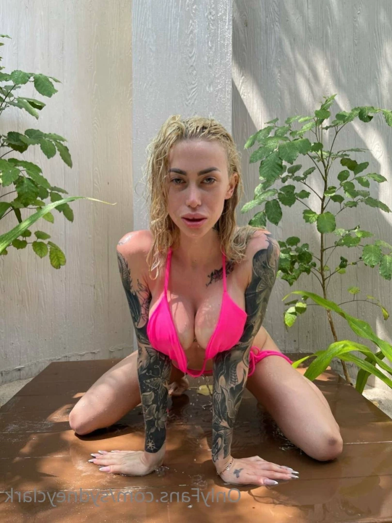 Miss Sydney 🦋 [ diamond_sydney ] Onlyfans leaked photo 16352016 on Hotleaks.tv
