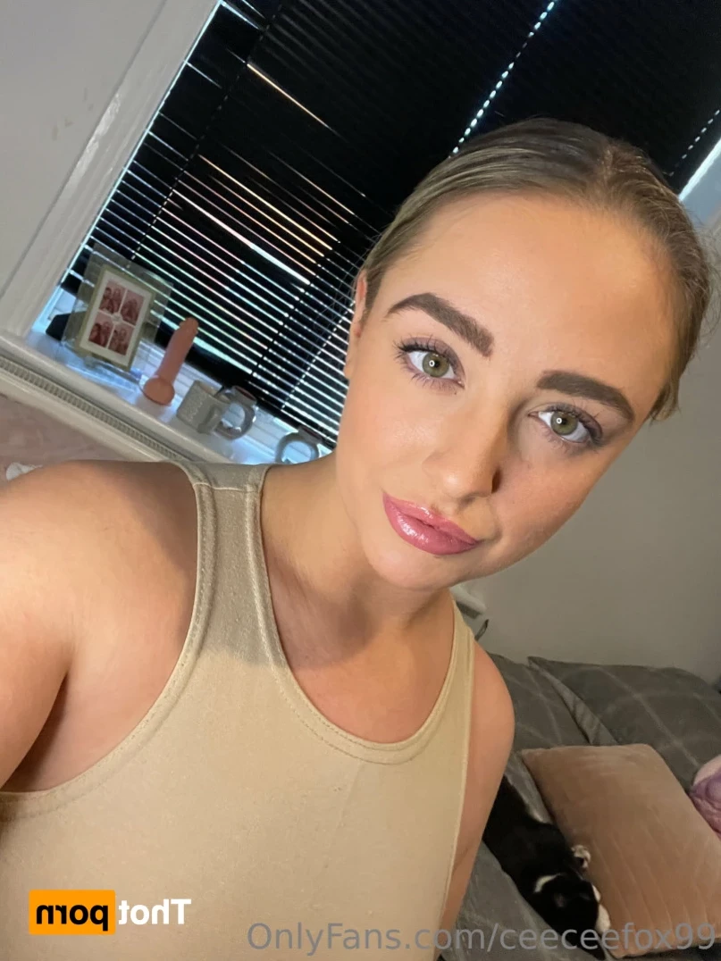 Ceecee Fox [ ceeceefox99 ] Onlyfans leaked photo 15032243 on Hotleaks.tv