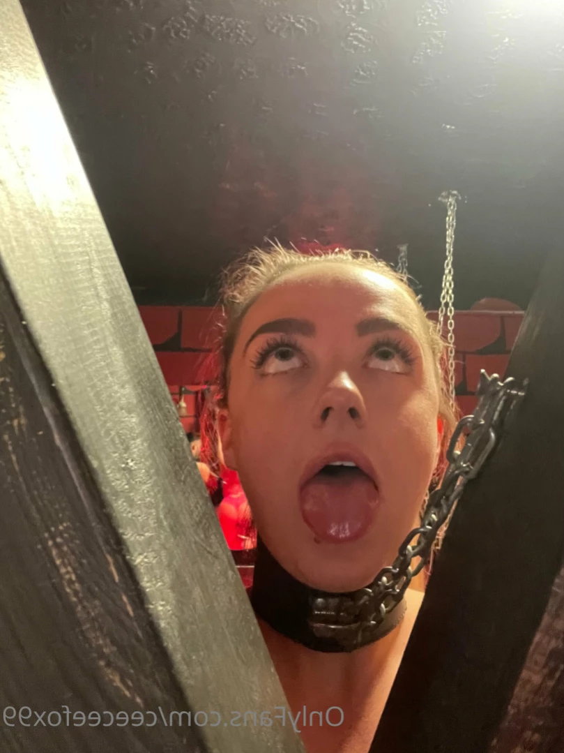 Ceecee Fox [ ceeceefox99 ] Onlyfans leaked photo 16434736 on Hotleaks.tv