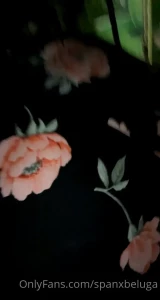 spanxbeluga Onlyfans leaked video 13289505 on Hotleaks.tv