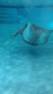 spanxbeluga Onlyfans leaked video 13999508 on Hotleaks.tv