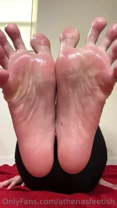 16155197