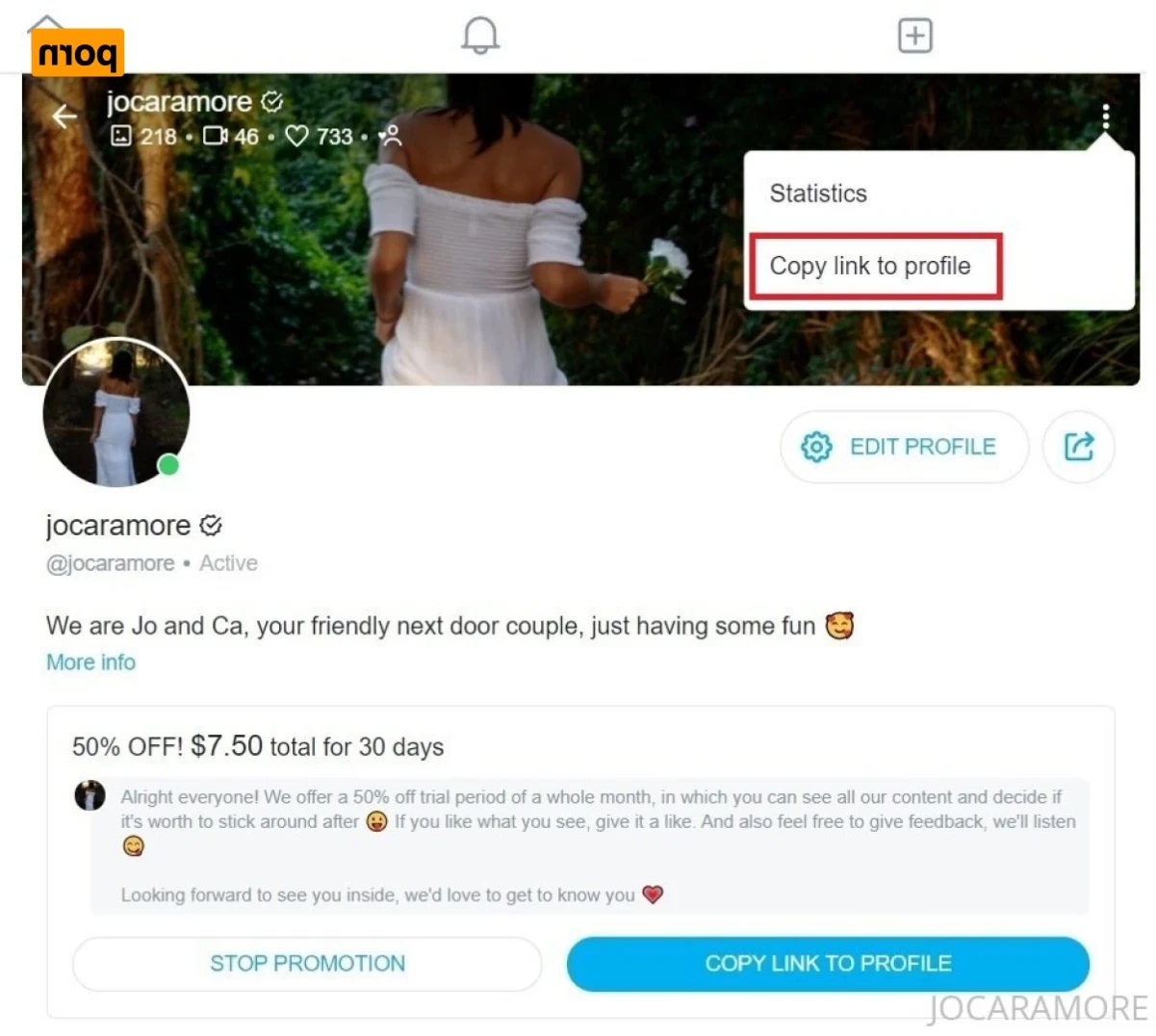 jocaramore Onlyfans leaked photo 12477948 on Hotleaks.tv