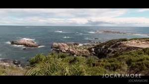jocaramore Onlyfans leaked video 14156126 on Hotleaks.tv