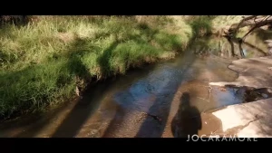 jocaramore Onlyfans leaked video 15051254 on Hotleaks.tv