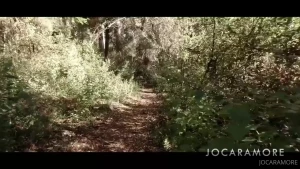 jocaramore Onlyfans leaked video 15791071 on Hotleaks.tv