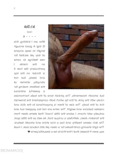 16462537