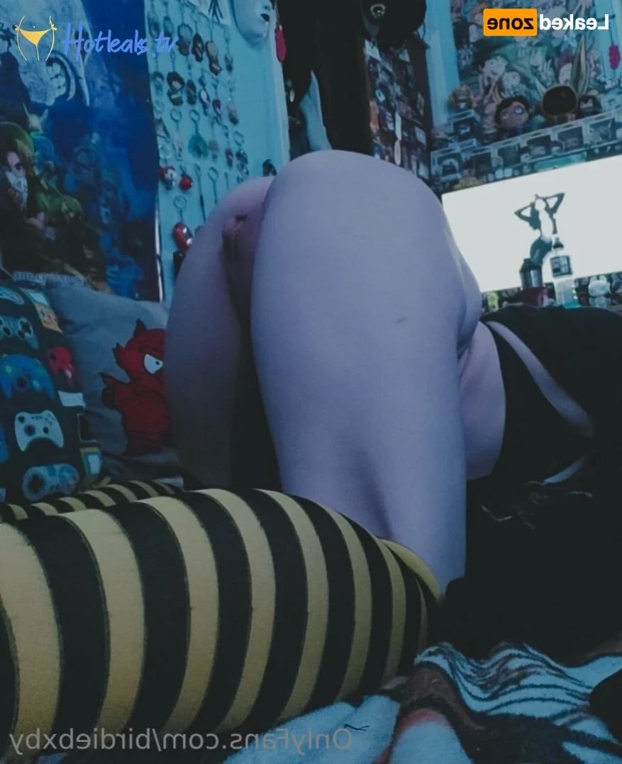 Birdie [ birdiebxby ] Onlyfans leaked photo 14817620 on Hotleaks.tv
