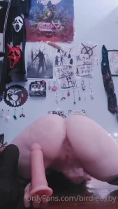 16266861