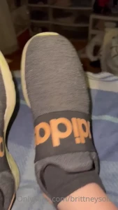 15288165