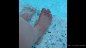 16157647