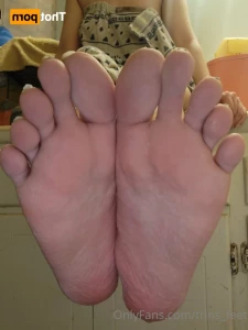 16179863