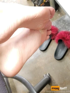 16220576