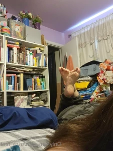 16309455