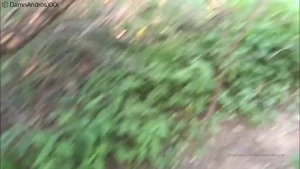 16250196