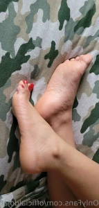 16400645