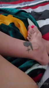 15166317