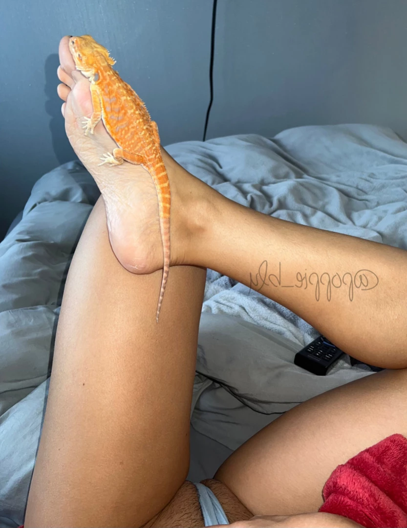 Skylar [ skylar_knights1 ] Onlyfans leaked photo 11796976 on Hotleaks.tv