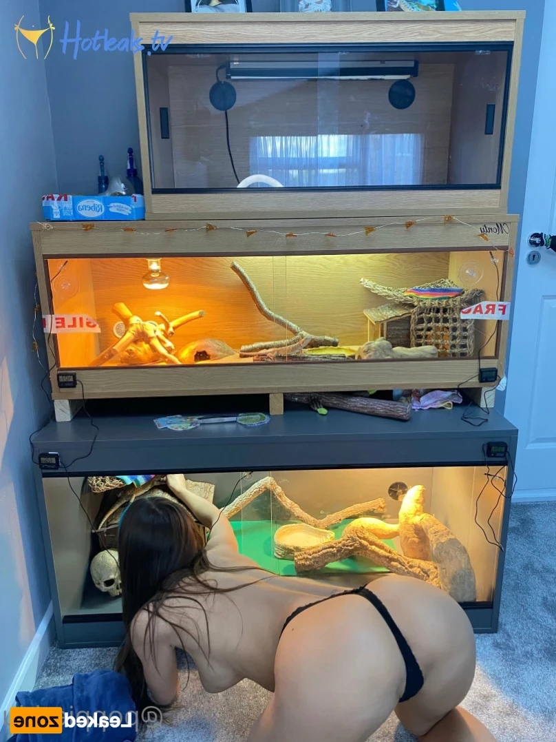 Skylar [ skylar_knights1 ] Onlyfans leaked photo 13877505 on Hotleaks.tv